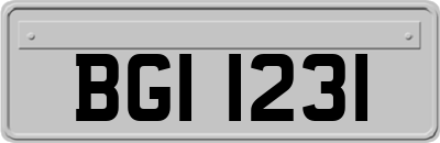 BGI1231