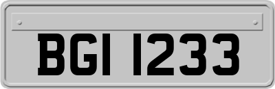 BGI1233