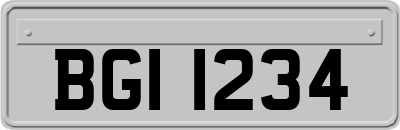 BGI1234