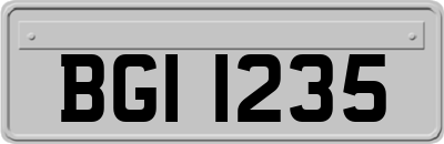 BGI1235