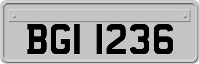 BGI1236