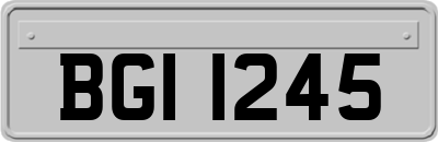 BGI1245