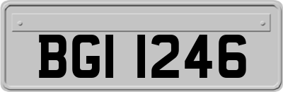 BGI1246