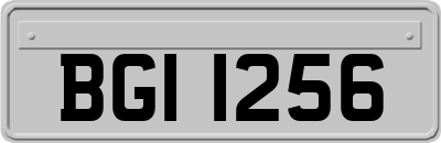 BGI1256