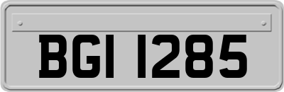 BGI1285