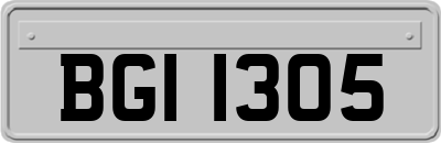 BGI1305