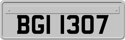 BGI1307