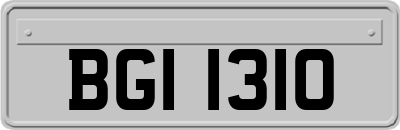 BGI1310