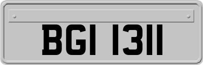 BGI1311