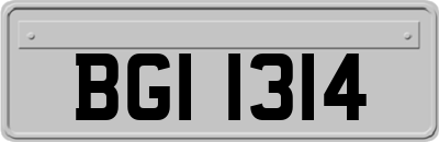 BGI1314