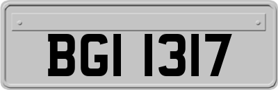 BGI1317