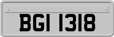 BGI1318
