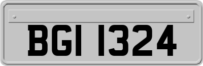 BGI1324