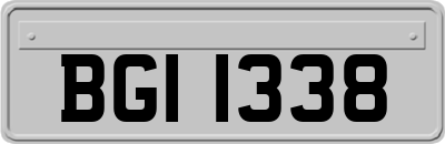 BGI1338