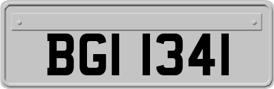 BGI1341