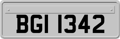 BGI1342