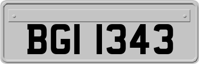 BGI1343