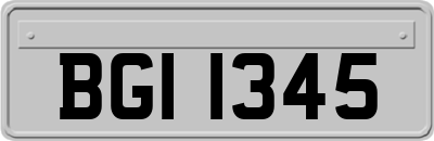 BGI1345