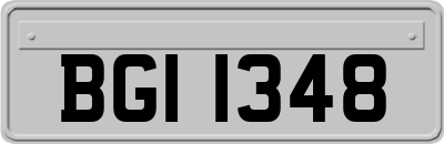 BGI1348