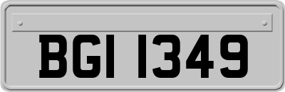BGI1349