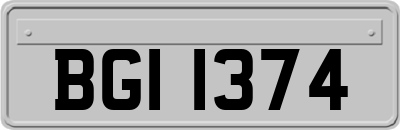 BGI1374