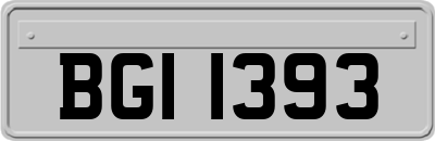 BGI1393
