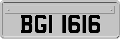 BGI1616