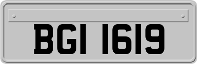 BGI1619