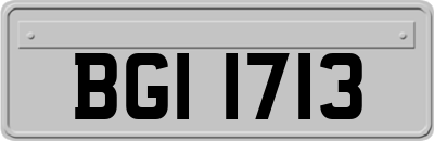 BGI1713