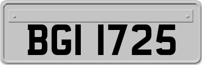 BGI1725