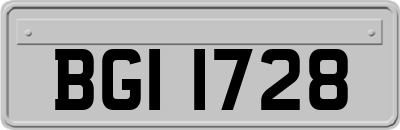 BGI1728
