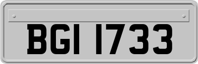 BGI1733