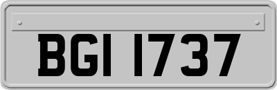BGI1737