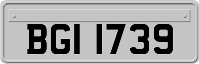 BGI1739