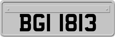 BGI1813