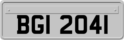 BGI2041