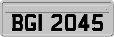 BGI2045