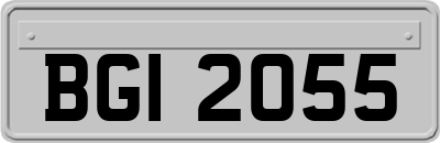 BGI2055