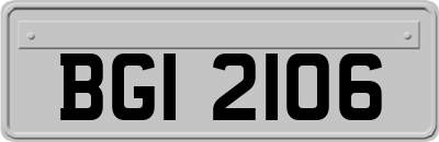 BGI2106
