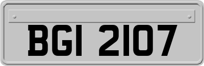 BGI2107