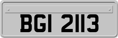 BGI2113