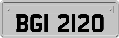 BGI2120