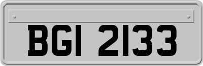 BGI2133