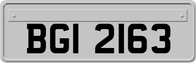 BGI2163