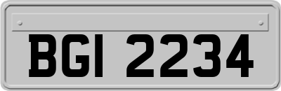 BGI2234