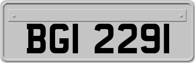 BGI2291