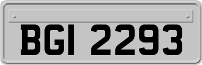 BGI2293