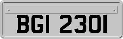 BGI2301