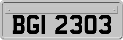 BGI2303