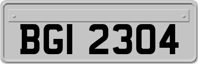 BGI2304